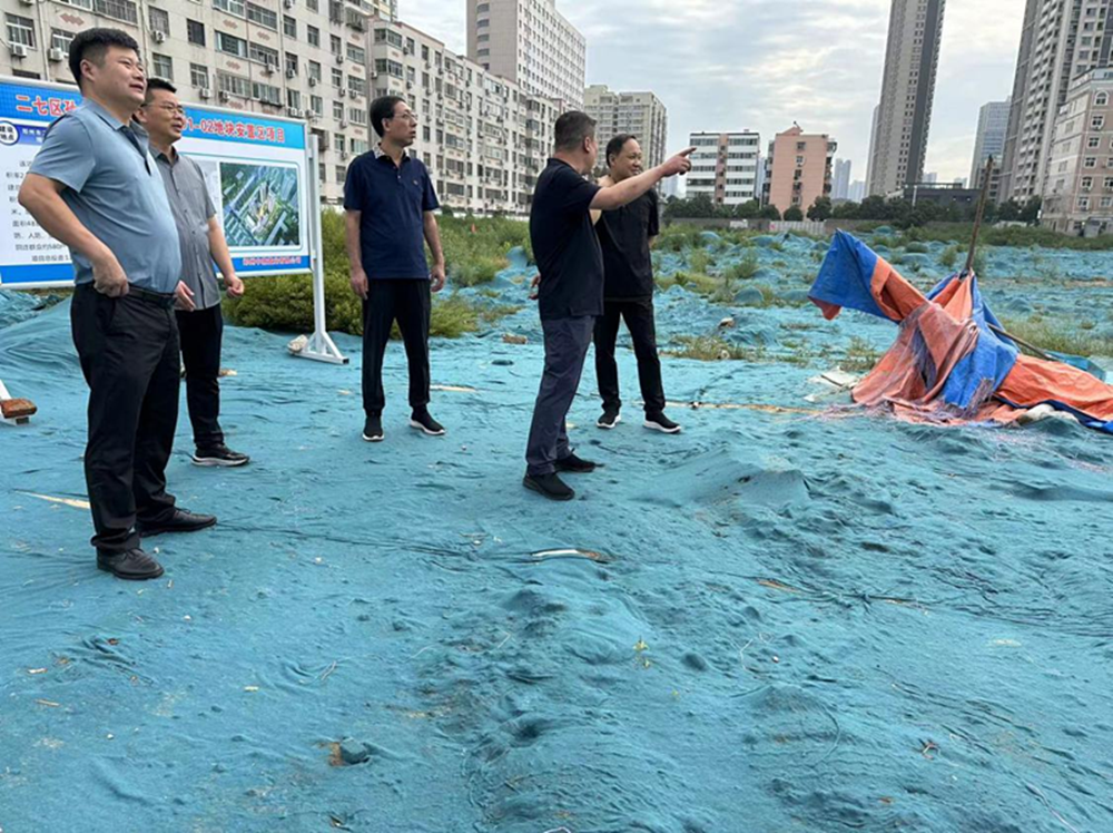 爱游戏手机入口官网-爱游戏(中国)
党委委员、副总经理张岩到侯寨新镇区安置区调研项目建设工作